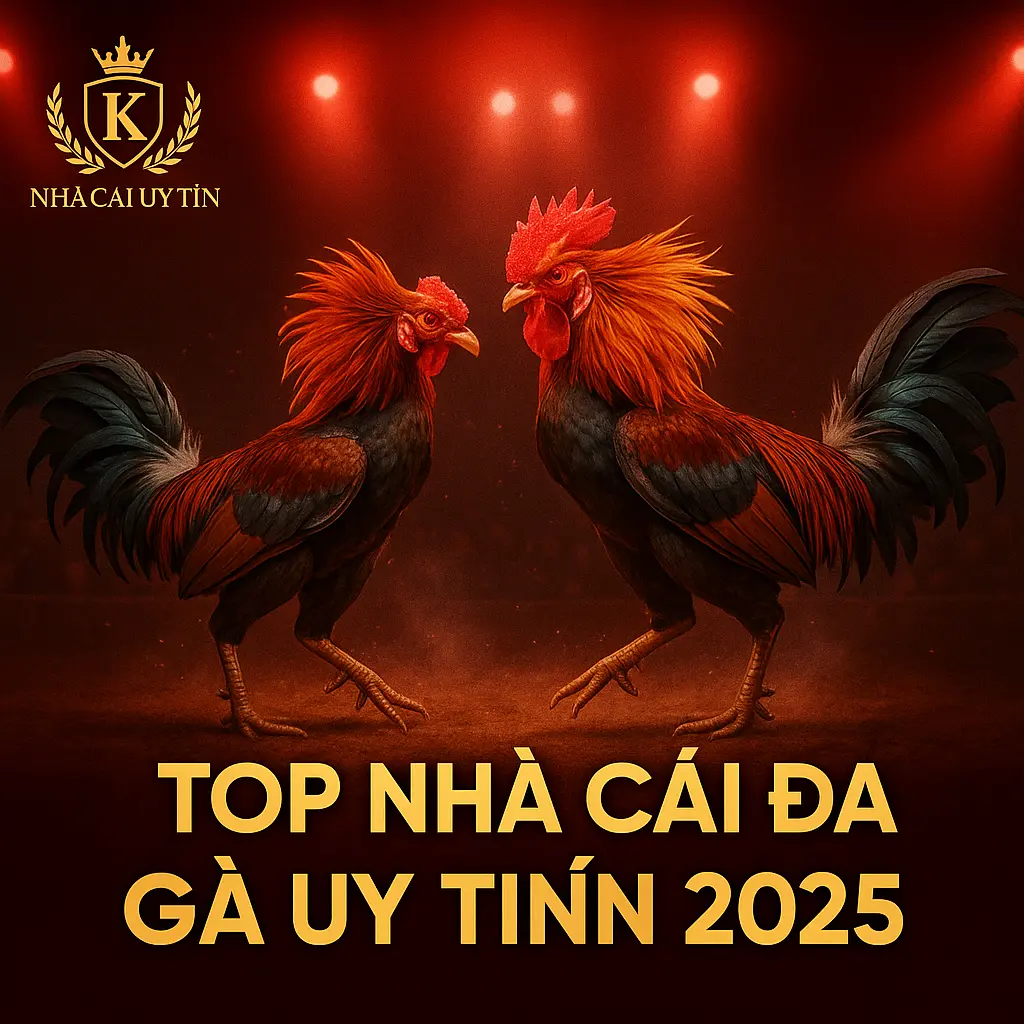 Top Nhà Cái Đá Gà Uy Tín 2025 – Trực Tiếp Thomo, Tỷ Lệ Cược Cao 1 Banner nhà cái đá gà uy tín 2025 với hình ảnh gà chiến đấu trực tiếp Thomo